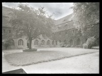 Prenzlau, Friedgarten des Dominikanerklosters